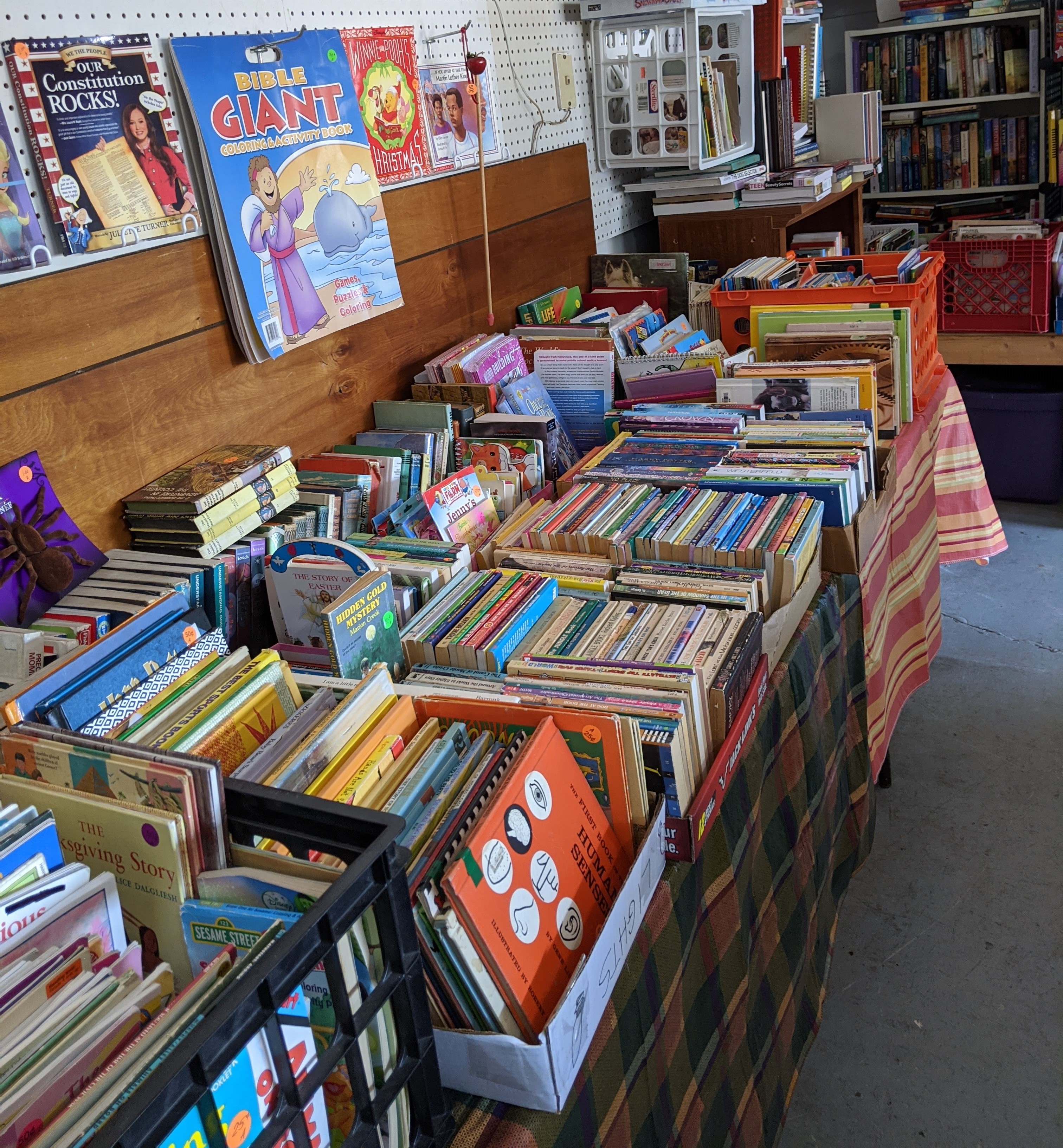Set up your rummage sale with categories. An area of books is shown here.